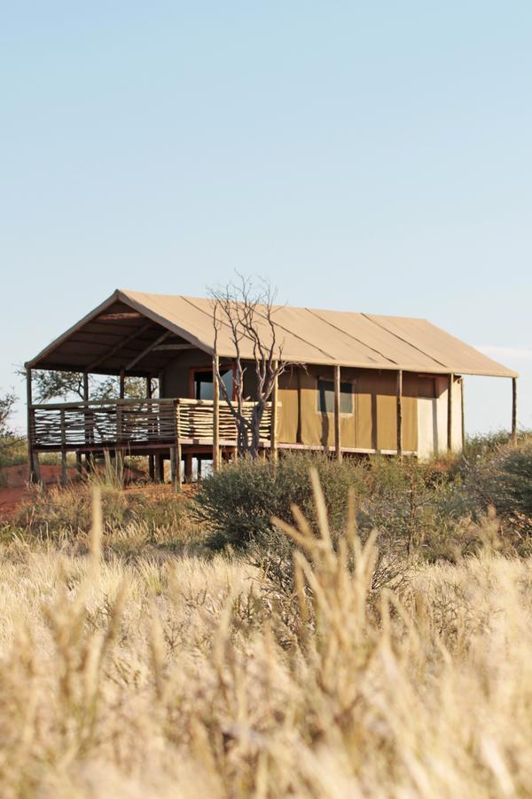 Suricate Tented Kalahari Lodge Hoachanas Rum bild